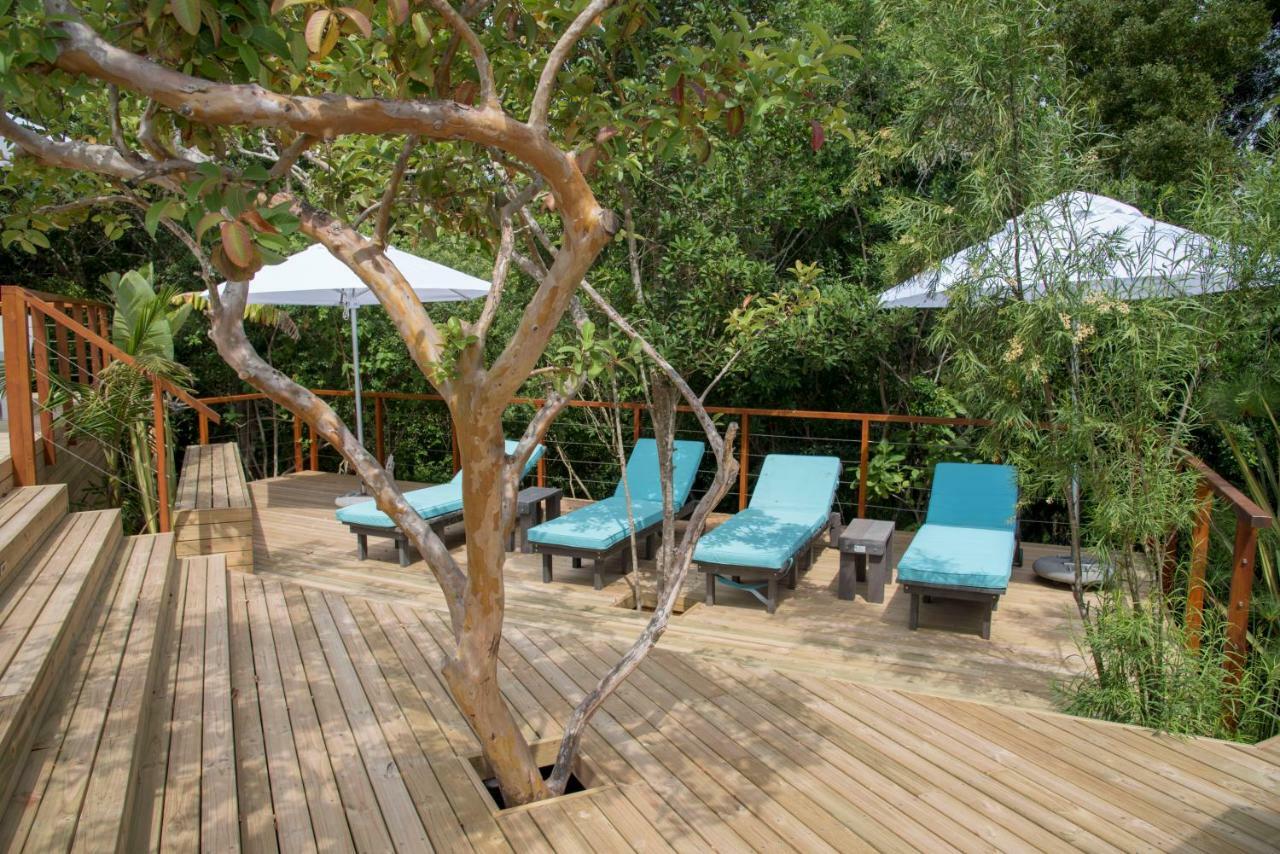 Armadillo Studios Knysna Exterior photo